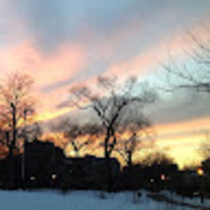 Meet your Posher, Matthew